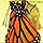 monarch butterfly emerges